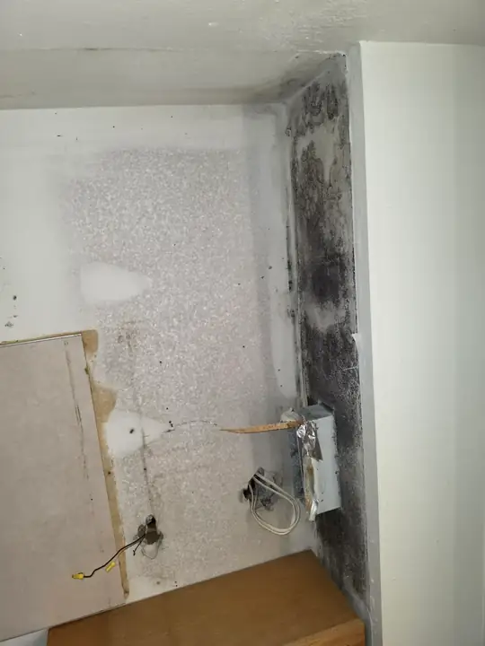 Dark mold spreading on a drywall corner around an electrical box and loose wiring
