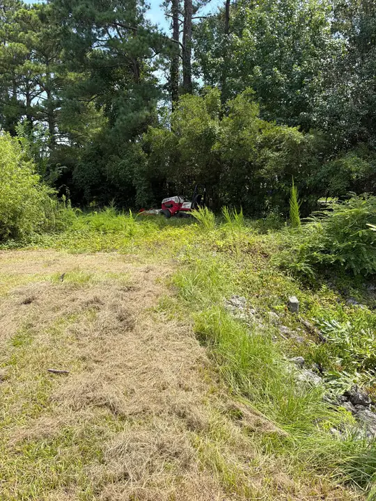 A lot of tall overgrown grass and brush with a machine working at the tree line