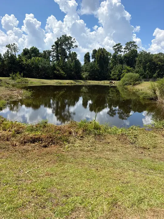 A pond with trees reflected in the water and its bank cut back and mowed