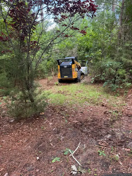 A yellow and black skid steer working through brush and small trees on a wooded lot