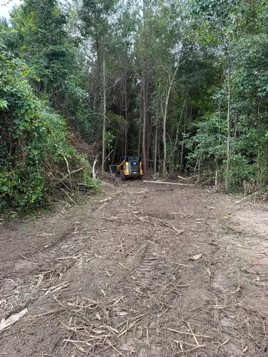 A cleared dirt path through dense woods with a yellow skid steer at the far end